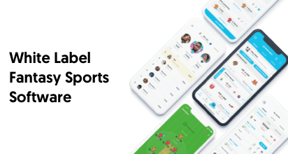 White Label Fantasy Sports Software – A Complete Guide for Startups and Entrepreneurs Across the Globe