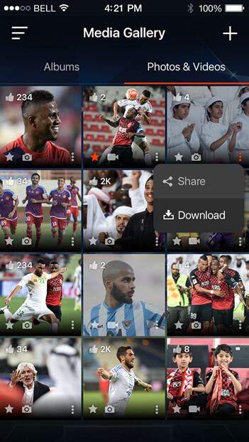 Social Network Solutions for Sports Fans